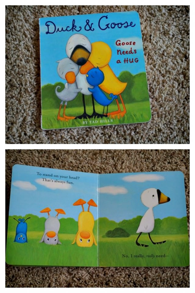 duck & goose