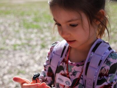 homeschool curriculum preschool kindergarten- a healthy slice of life