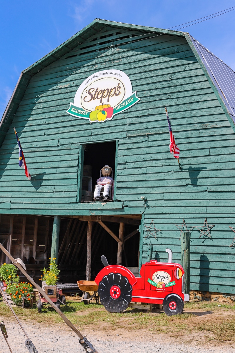 Stepp's Hillcrest Orchard NC (23 of 23)
