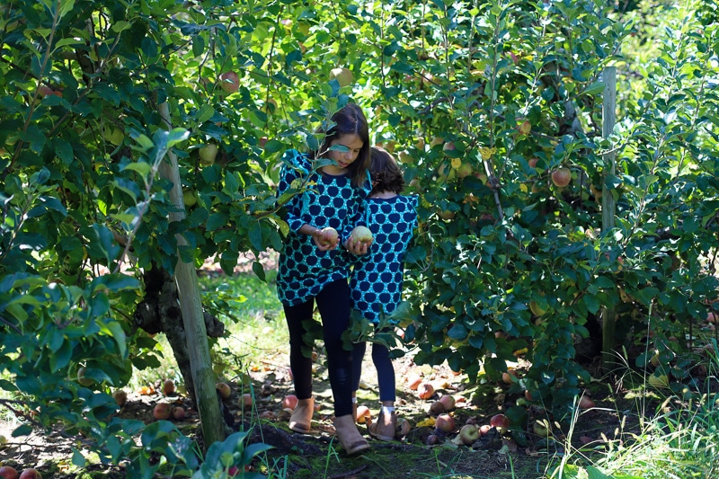 Stepp's Hillcrest Orchard NC (8 of 23)