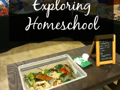 reasons for homeschool