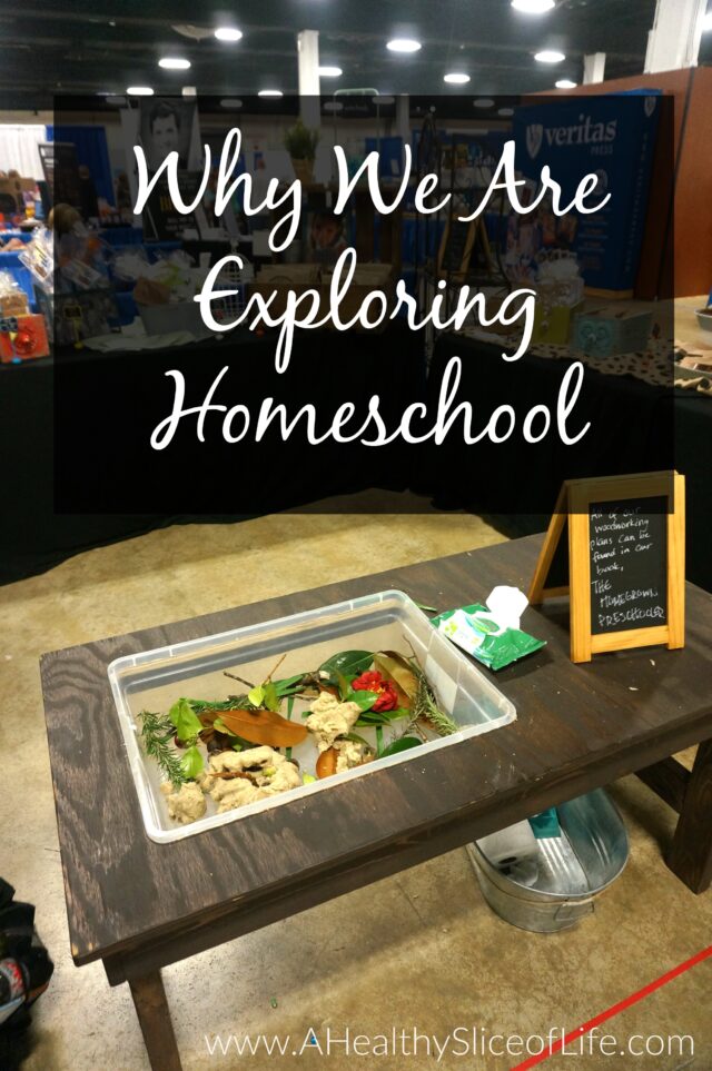 reasons for homeschool