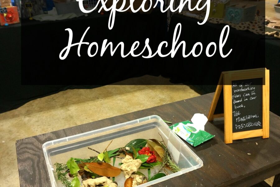 reasons for homeschool