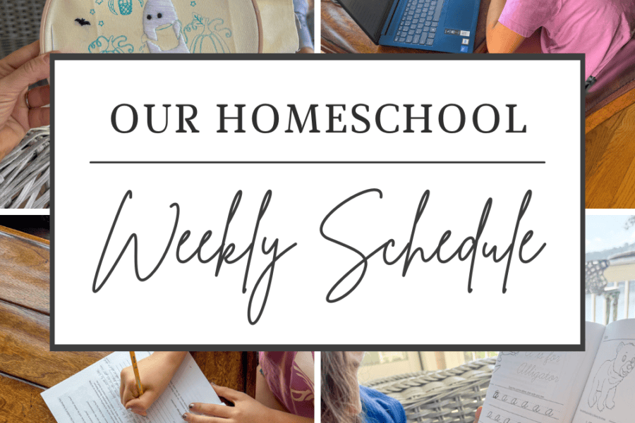 Curriculum Update: 7th Grade and 5th Grade